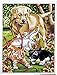 Reeves Medium Painting By Numbers - Dog & Kittens