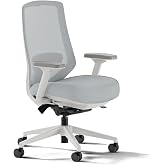 Branch Ergonomic Chair Pro, Mesh Office Chair with 14 Points of Adjustment | Height, Depth and Tilt Adjustable, 5D Armrests, Forward Tilt, Smooth Recline, and Lumbar Support, Mineral