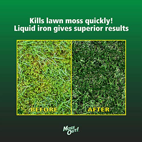 Lilly Miller Moss Out for Lawns Ready to Spray 32oz, 1(Pack) Pricepulse