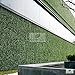 NatraHedge Artificial Boxwood Hedge Mat 20