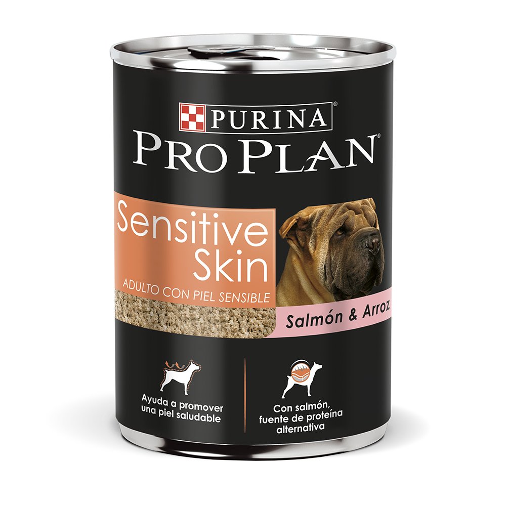 Best Motion Sensitive Dog Kitchen Counter Deterrent With Citronella