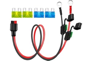 AYECEHI 10AWG Solar 45A Connecter to Ring Terminal Cable,Compatible with Anderson Connector Port,Dual Fuse Holder Cable,for Automotive- 1M/3FT