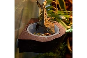 Plastic Reptile Food Bowl and Amphibian Water Dish - Suspension Type for Lizards, Iguanas, Geckos, Tortoises (Brown)