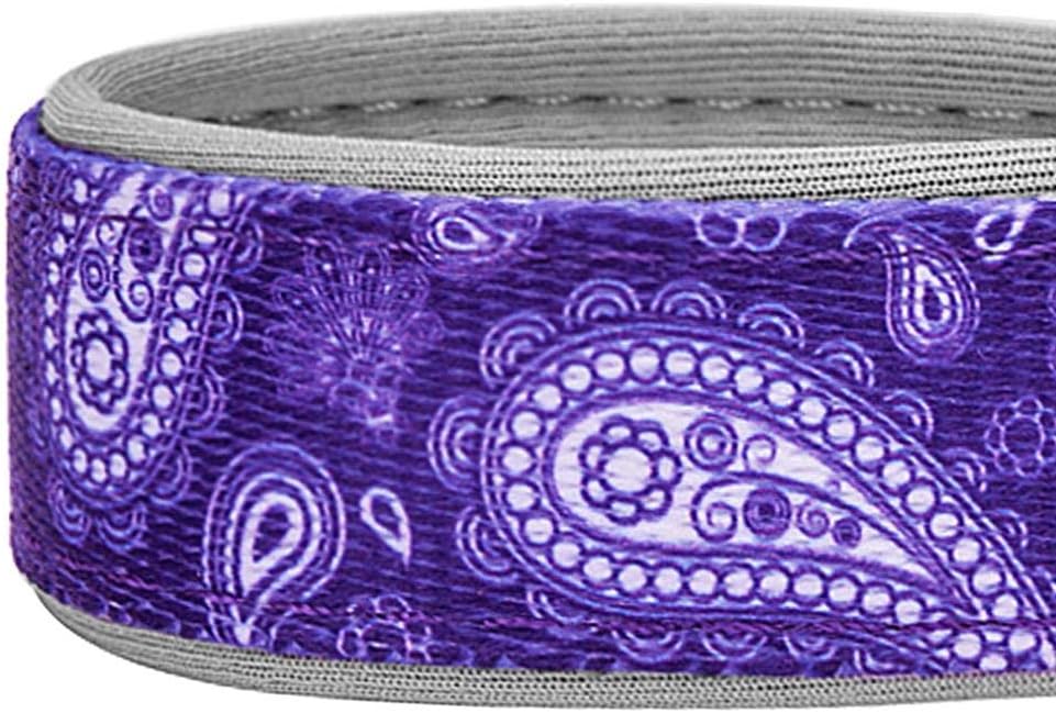 Blueberry Pet 5 Patterns Soft & Comfy Paisley Flower Print Neoprene Padded Adjustable Dog Collar, Violet, Large, Neck 18"-26" : Pet Supplies