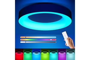 Annaror RGB Led Flush Mount Ceiling Light with Remote Control, 11 Inch 24W Black Ceiling Light Fixture, 3000K-6500K Light Color Changeable, Modern Ceiling Lights for Bedroom Kids Room