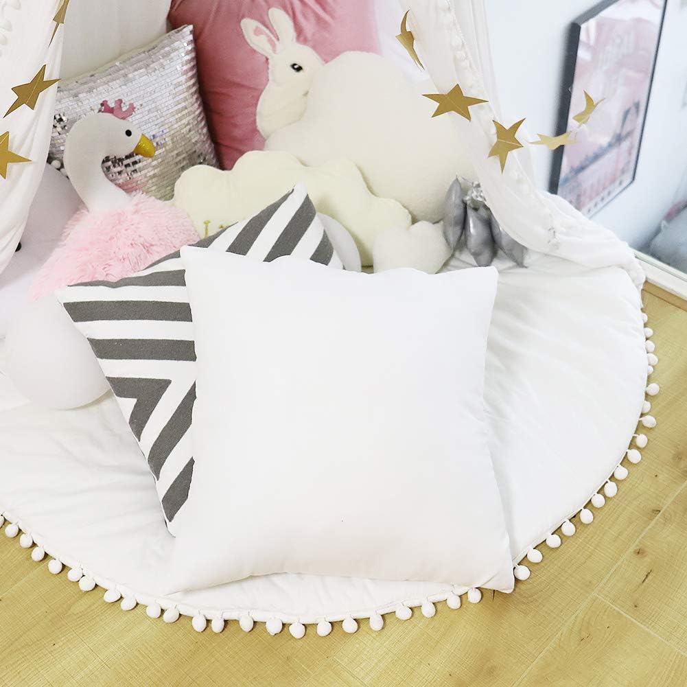 HIPPIH 20 x 20 Inch Pillow Inserts (Set of 2), Decorative Throw Pillow Inserts, Hypoallergenic Square Pillow Form Insert with Zips, Upgraded: Home & Kitchen