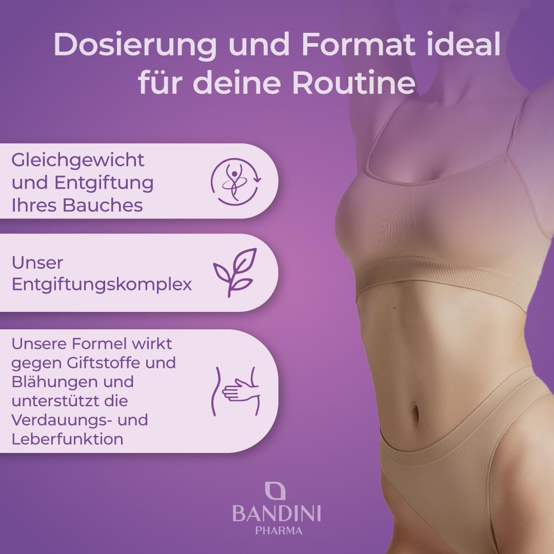 Bandini® Mariendistel 366 Tabletten | Artischocke und Löwenzahn-Komplex | 2