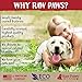 Raw Paws Pet Premium 10-inch Compressed Rawhide Sticks for Dogs, 5-Count - Packed in The USA - Natural Rawhide Dog Chews - Rawhide for Large Dogs - Safe Rawhide Rolls