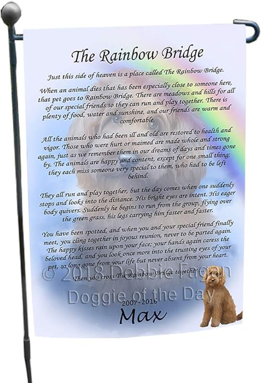 rainbow goldendoodles