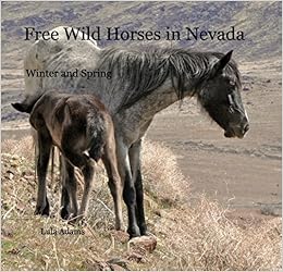 Free Wild Horses In Nevada By Lula Adams 2011 08 02 Amazon Com Books