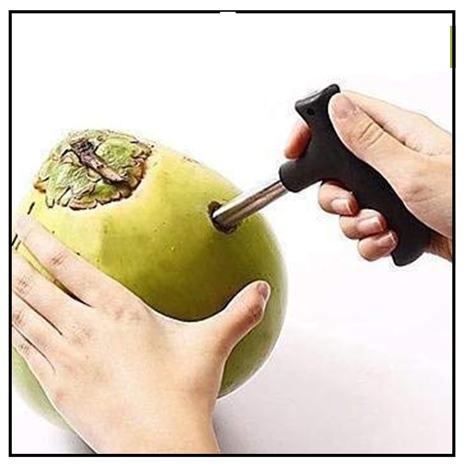 Buy AVSARAH Stainless Steel Coconut Opener for Coconut Young Green