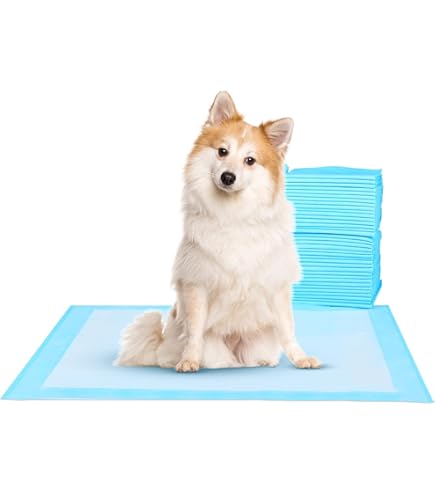 Dog Pee Dog Pulls Puppy Off Bed Pee Pads For Dogs High Quality