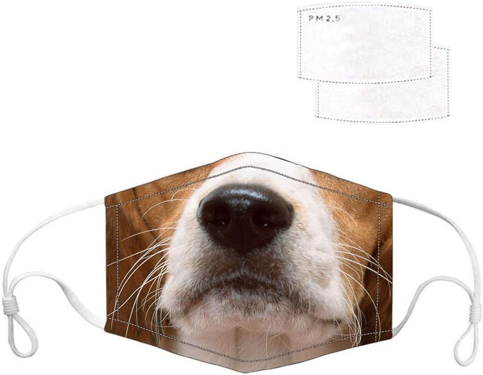 gas di scarico per cani