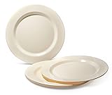 " OCCASIONS " 40 Plates Pack, Heavyweight