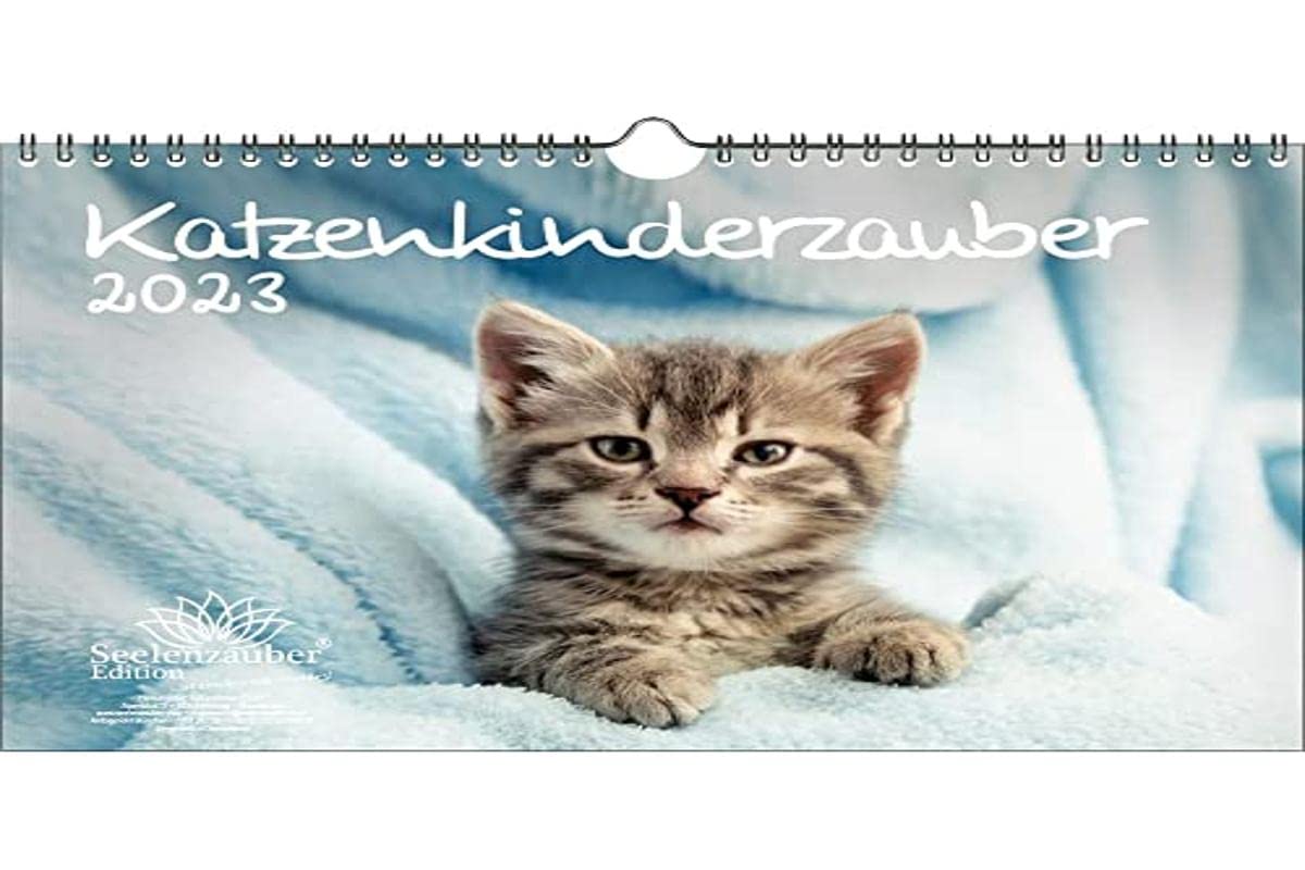 KN2023-4W-0008-D-0 Cat Children's Magic DIN A4 Calendar for 2023 Cat Children Cat Babies Soul Magic Multi-Coloured