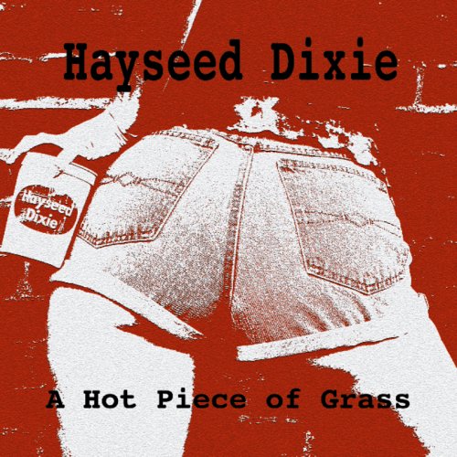 Hayseed Dixie - 101 Country Hits - Zortam Music