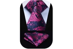 HISDERN Ties for Men Paisley Tie and Pocket Square Woven Classic Floral Mens Ties Handkerchief Set Wedding Party Necktie