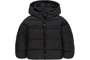 Vieille Toddler Winter Coat Girls Boys Puffer Jacket Lightweight Kids Down Alternative Outerwear 2-6 Years