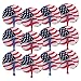 109 Piece Mega Patriotic Toy Novelty Assortment; 72 Glitter Patriotic Temporary Tattoos; 12 Patriotic Rubber Ducks; 12 Patriotic Paper Fans; 12 33
