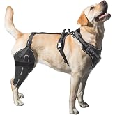 LISPOO Dog Knee Brace for Torn ACL Hind Leg,Better Recovery-Right Leg-M | Adjustable Support With Sufficient Wrapping and Support &amp; Luxating Patella,Non-Slip Joint Brace,Pain Relief