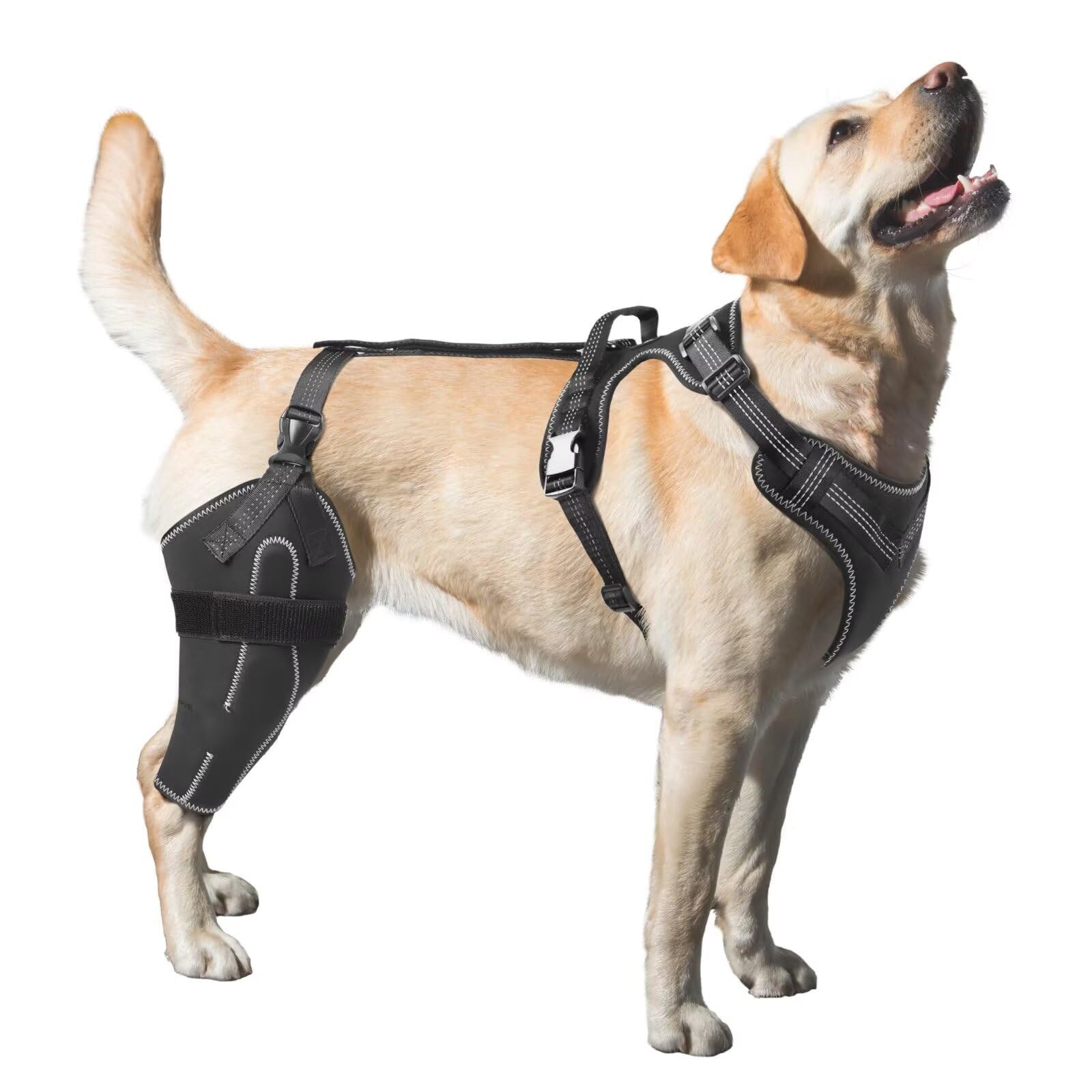 Photo 1 of LISPOO Dog Knee Brace for Torn ACL, Luxating Patella, Arthritis Support, Metal Splint Hinged Leg Brace for CCL Injury, L Size