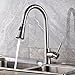 Rozin Single Handle Kitchen Sink Faucet Pull Out Spray Deck Mounted Mixer Tap Brushed Nickel