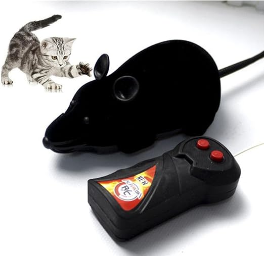 rc mouse cat toy