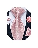 DiBanGu Mens Tie and Lapel Pin Set Silk Plaid Solid