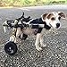 Walkin' Wheels Dog Wheelchair - For Small Dogs 11-17 lbs - Veterinarian Approved - Wheelchair for Back Legs