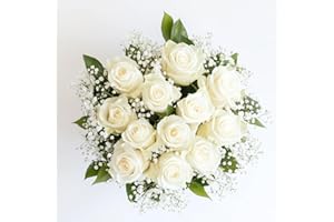 GlobalRose Fresh 2 Dozen White Roses & Fillers - Fresh Flowers Bouquet for Mother's Day, Wedding, Birthday, Anniversary, Bridal Shower, or Home Decor