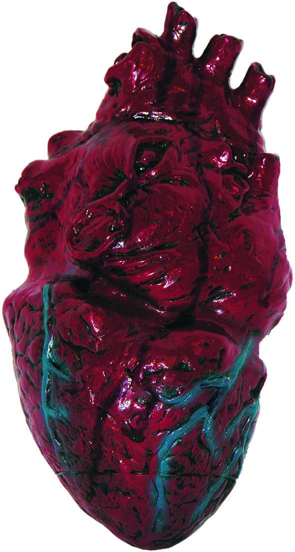 Simulated Body Parts Heart (1/Pkg) Pkg/12