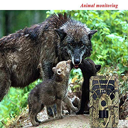 QZMVER Mini HD Wildkamera, Hunting Camera Fotofalle 120° Weitwinkel Vision Infrarote Nachtsicht Überwachungskamera… – Bild 4