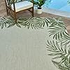 Gertmenian 21559 Outdoor Rug Freedom Collection Bordered Theme Smart Care Deck Patio Carpet 5x7 Standard, Palm Tree… 61S7mwAg%2BwL. SS100