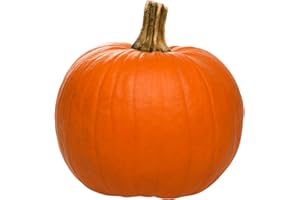 SEZE Fresh Pie Pumpkin - Organic, Perfect for Baking and Cooking, Ideal for Pumpkin Pie and Soups (2 Count)
