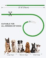 Joytale Light Up Dog Collar Green LED Rechargeable Type-C 70cm view 6