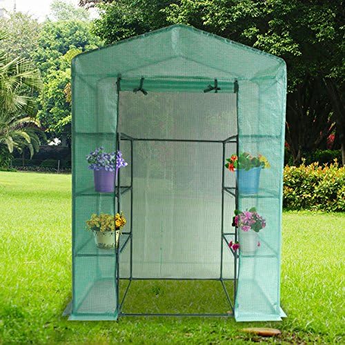 QU Quictent Mini Walk-in Greenhouse 4 tiers 6 Shelves Portable Gardening Grow Plant Green House 56" Lx30 Wx78 H