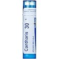 Boiron Cantharis 30C (Pack of 5), Homeopathic Medicine for Blisters and Bladder Infection