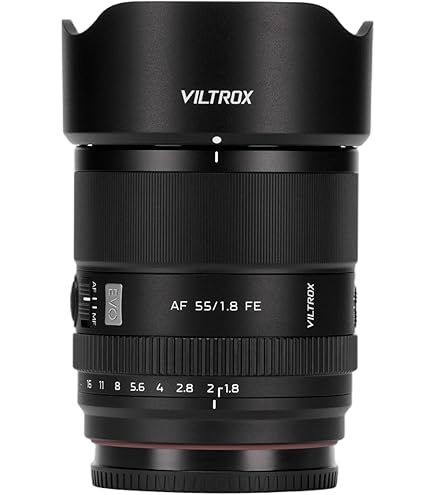 Amazon.com : 24mm F2 DG DN for Sony E : Electronics