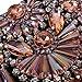 Holylove Women Statement Necklace Bling Pink Choker Fashion Large Costume Jewelry with Gift Box-HLXL839