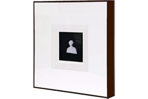 JHUMEG Sculpture Wall Art,French Vintage Decor with Framed,Aesthetic Black Paintings for Home Living Room Bedroom Office and House Gallery artwork（15.8x15.8in）