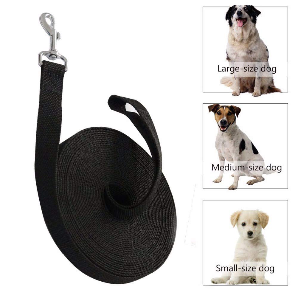 long line leash training