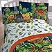 Nickelodeon Teenage Mutant Ninja Turtles Cityscape Sheet Set (Twin)