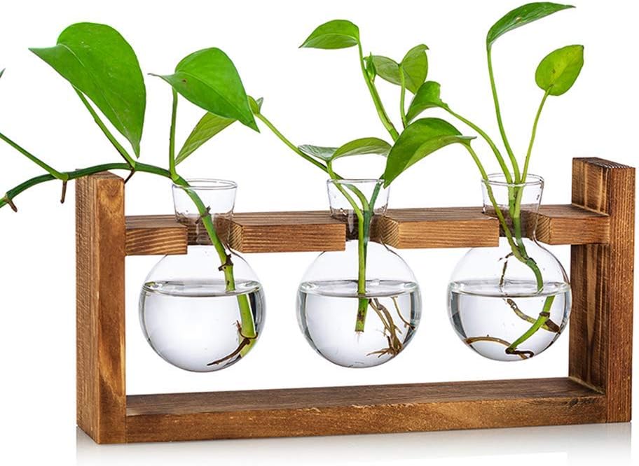 Glasseam Propagation Station 3 Pcs Glass Vase with Wooden Stand