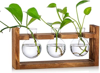 Glasseam Propagation Station 3 Pcs Glass Vase with Wooden Stand