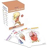 Anatomy Flashcards: 300 Flashcards with Anatomically Precise Drawings and Exhaustive Descriptions