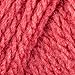 RED HEART Super Saver Chunky, Flamingo Yarn