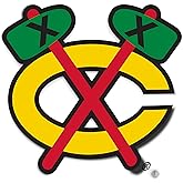 Desert Cactus Chicago Blackhawks Team NHL National Hockey League Sticker Vinyl Decal Laptop Water Bottle Car Scrapbook (Individual B)