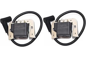 GXARTS 2 Pcs 2458436-S Ignition Coil Module Replaces 2458411-S 2458415-S 2458403 Compatible With Kohler CH22 CH25 CH730 CH740 CH750 CV22 CV25 CV740 CV750 SV735 3270701S 25-707-03-s 2458430S