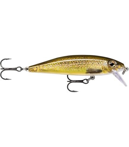Leurre Rapala Countdown CD05/AMN - Coulant Silencieux 50mm Pour Pêche En Mer