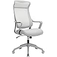 Realspace® Lenzer Mesh High-Back Task Office Chair, Gray, BIFMA Compliant